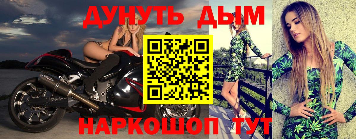 Канабис гибрид Майкоп